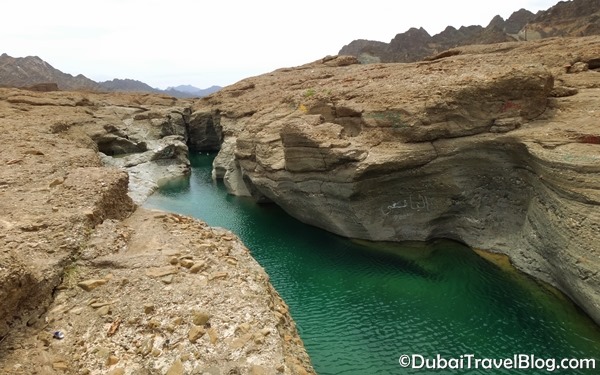 hatta swim safari