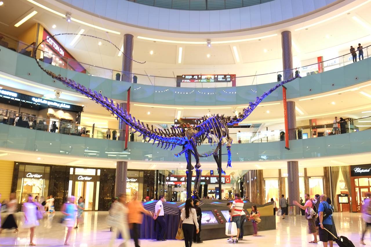 Dubai Dino 155 Million Year Old Dinosaur In Dubai Mall Dubai