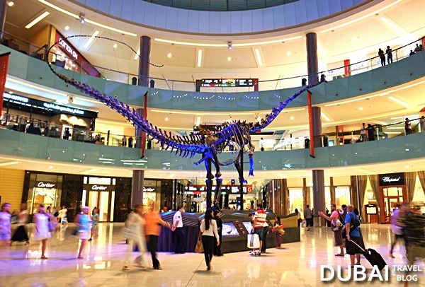 Dubai Dino 155 Million Year Old Dinosaur In Dubai Mall Dubai