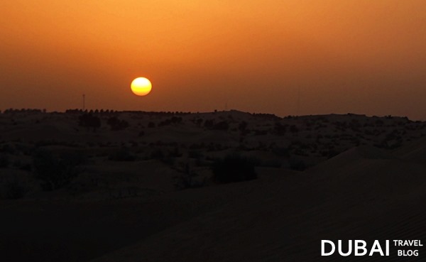 sunset dubai desert