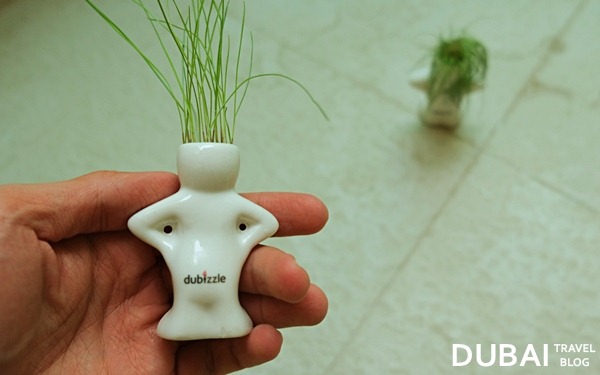 dubizzle water hair plant