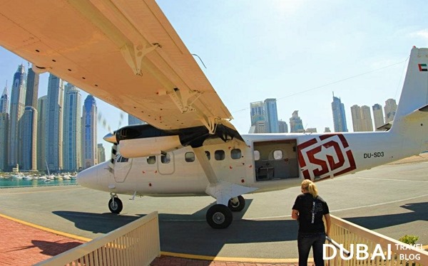 plane skydive dubai travel blog