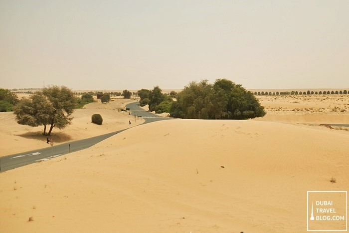 Dubai desert oasis resort