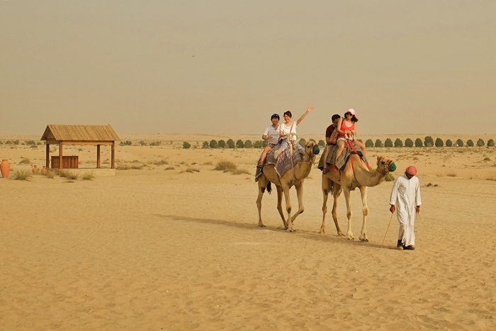 camel riding dubai