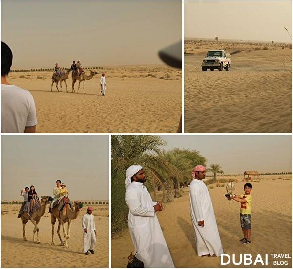 dubai bab al shams desert