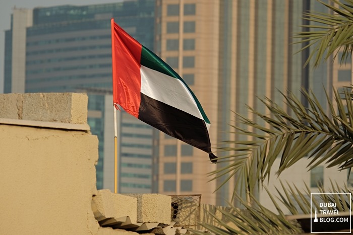 uae flag