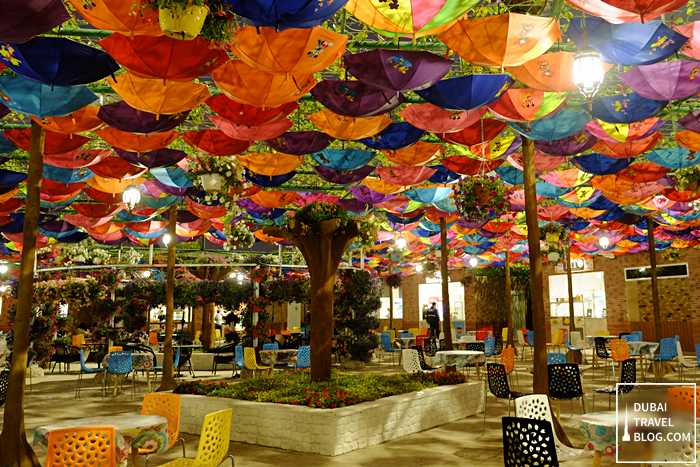 cafeteria in dubai miracle garden