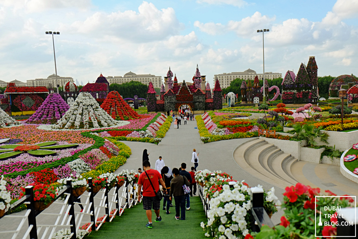 dmg - dubai miracle garden uae