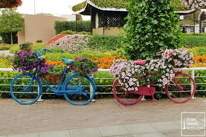 dubai miracle garden bikes