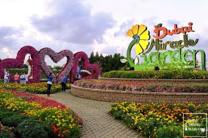 dubai miracle garden entrance