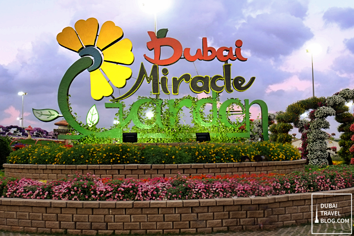 dubai miracle garden entrance