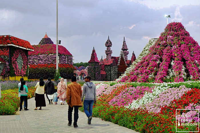 dubai miracle garden flowers