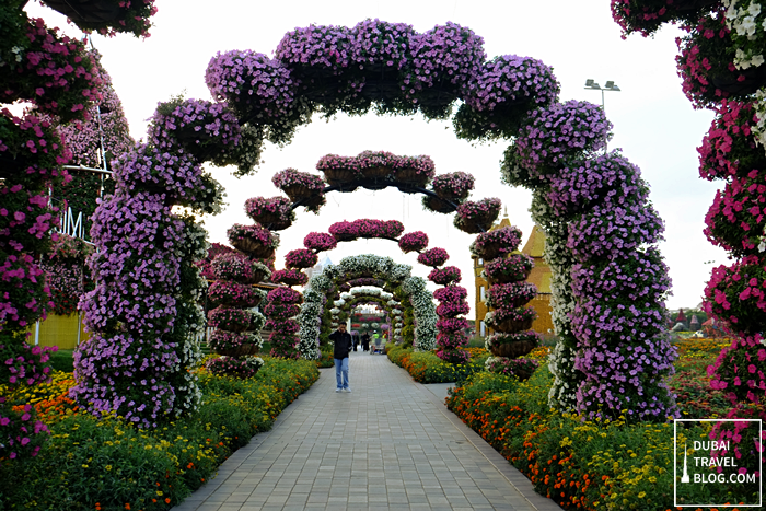 dubai miracle garden photo