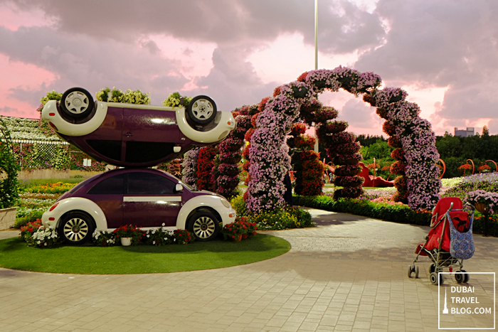 dubai miracle garden uae