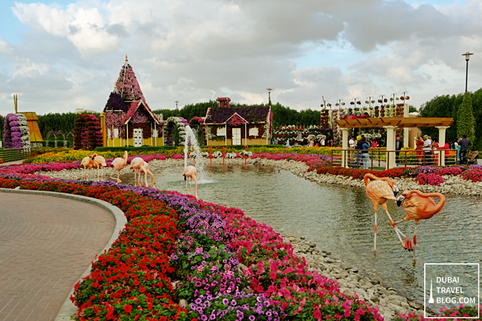 flamingo and ponds flower garden