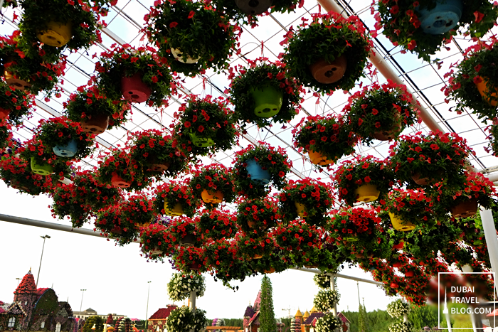 flower pots cafeteria dubai miracle garden