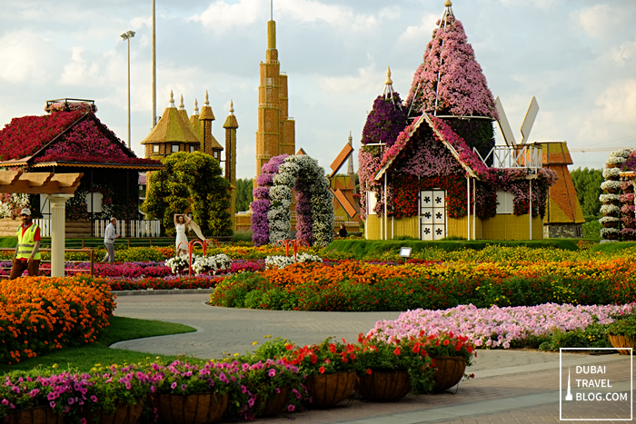 flowers-at-dubai-miracle-garden