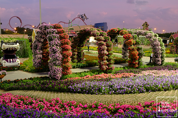 miracle garden photo in dubai