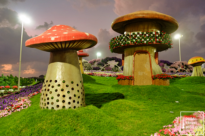 mushrooms in dubai miracle garden