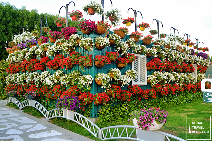 office dubai miracle garden