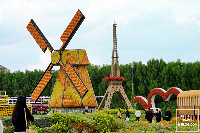 windmill flower garden dubai