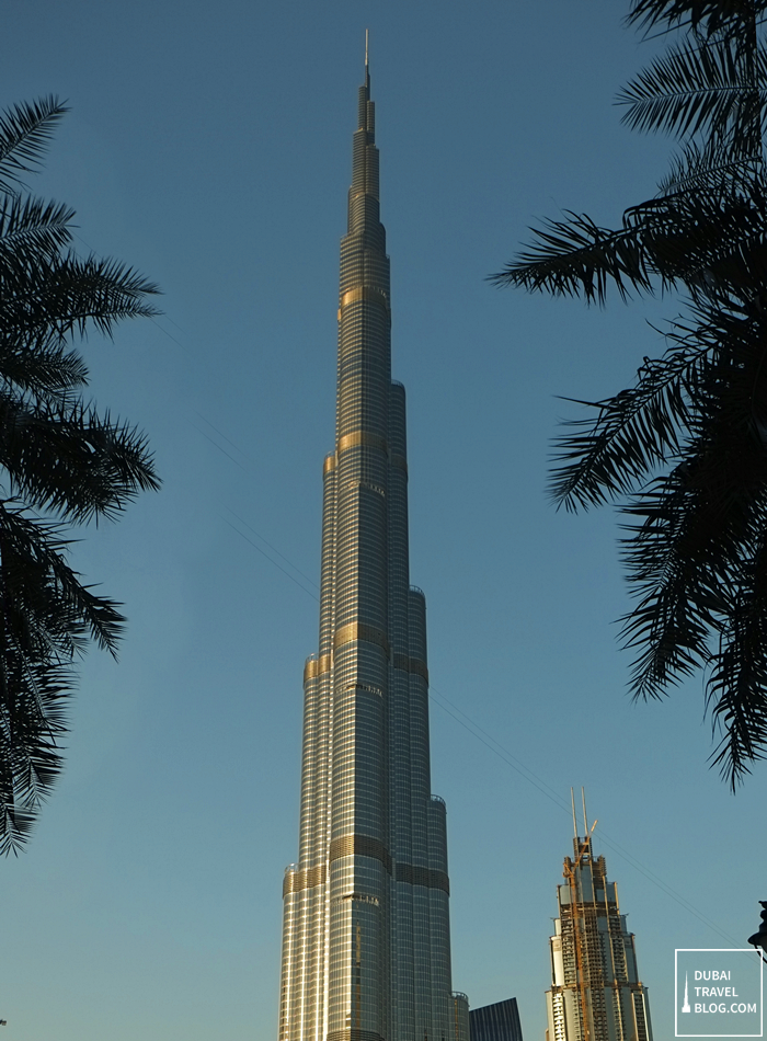 burj khalifa view from burj plaza