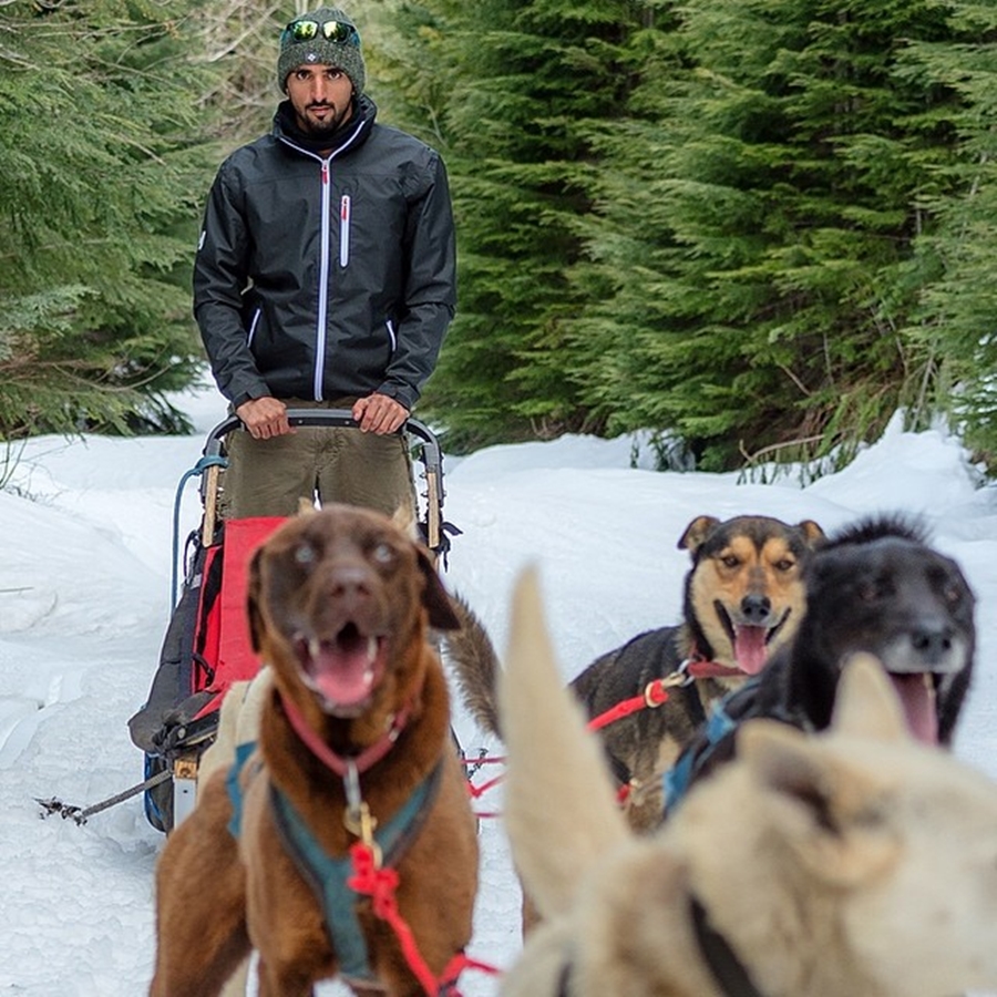 Sheikh Hamdan Dog Sled Ride