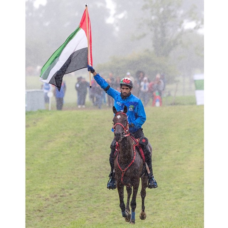 Sheikh Hamdan Horse Flag