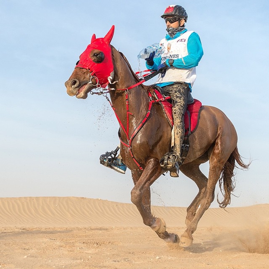 Sheikh Hamdan Horse Ride