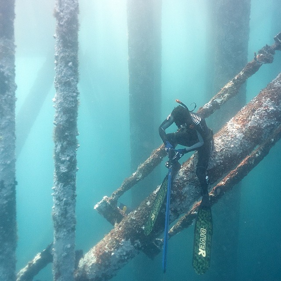 Sheikh Hamdan Spearfishing