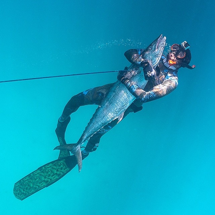 Sheikh Hamdan Underwater Fish