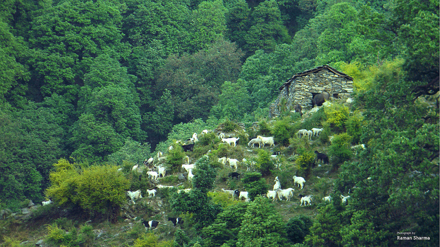 himachal-pradesh