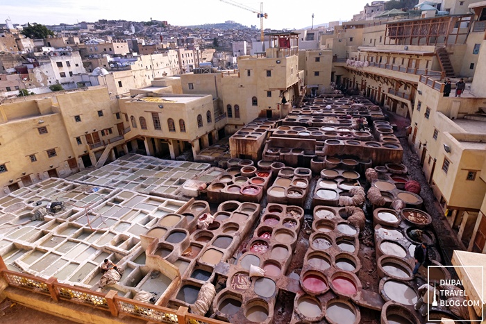 leather tannery fez morocco medina