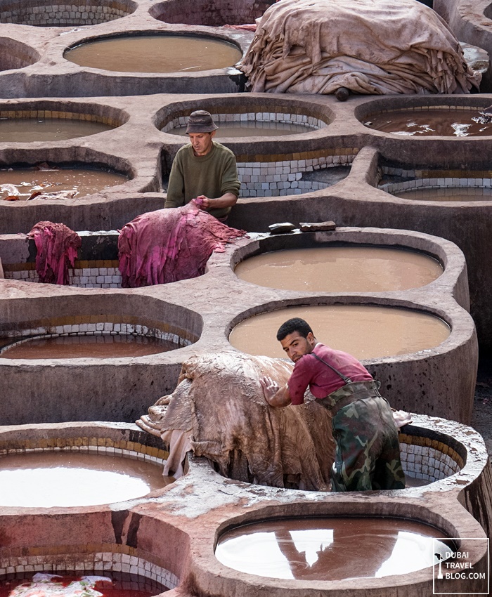 tannery workers fez morocco