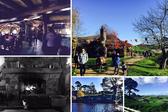 hobbiton movie set tour in new zealand