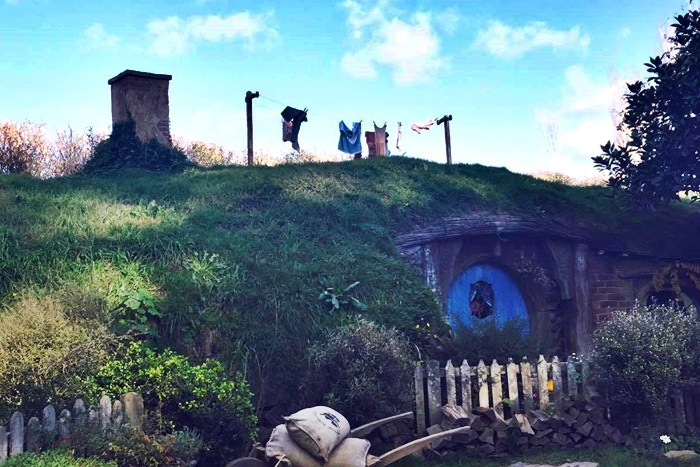 hobbiton tour new zealand