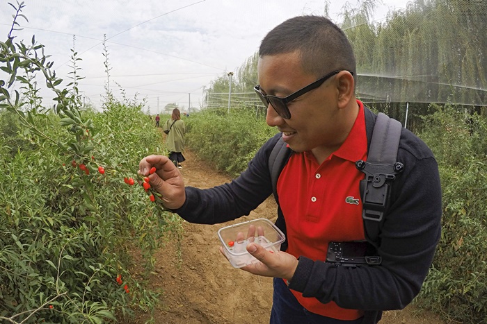 Hongmanao Goji Berry Garden