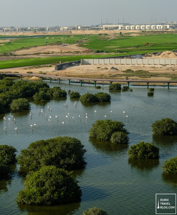 ajman creek