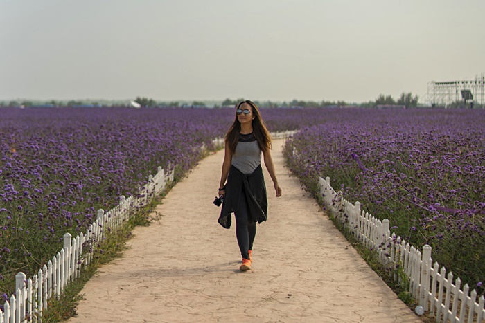 jin sha island flowers