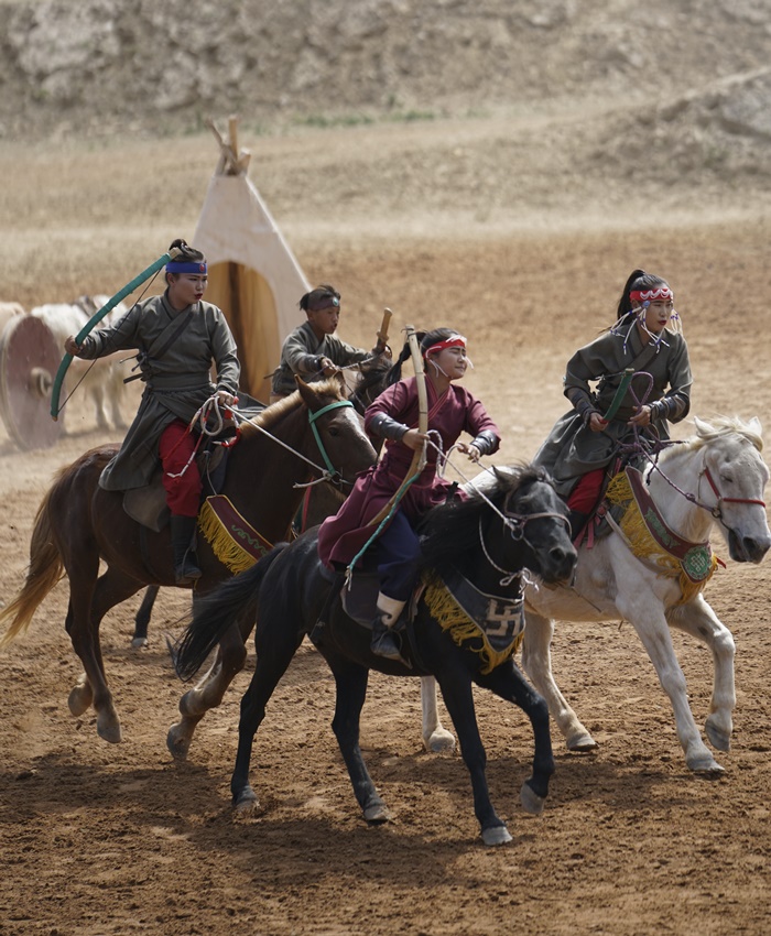 war horse show ningxia china