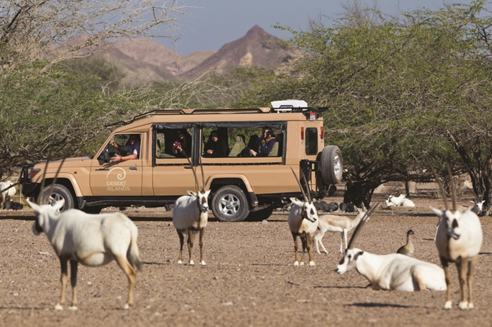 Sir Bani Yas Island Anantara Nature and Wildlife Drive