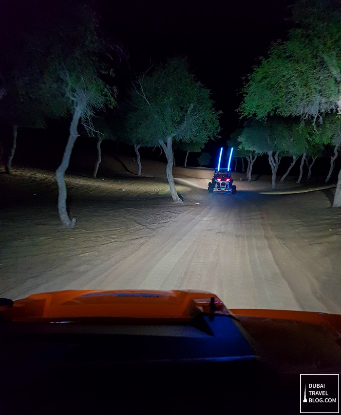 drive dune buggy desert dubai