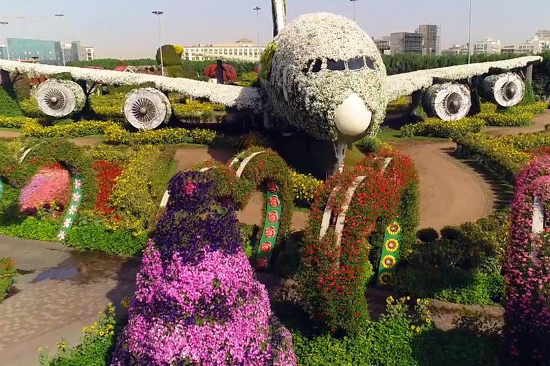 A380 plane flower