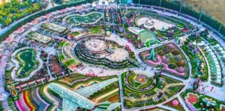 Dubai Miracle Garden aerial view