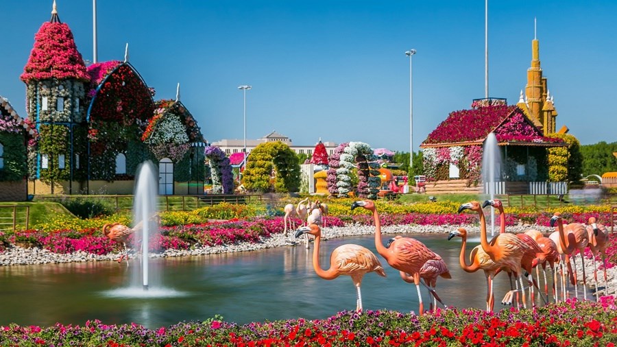 Dubai Miracle Garden flowers