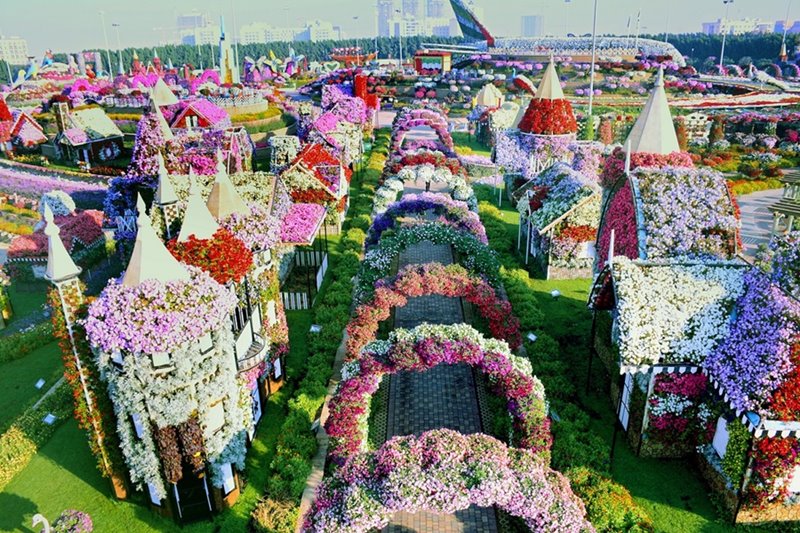 Dubai Miracle Garden picture