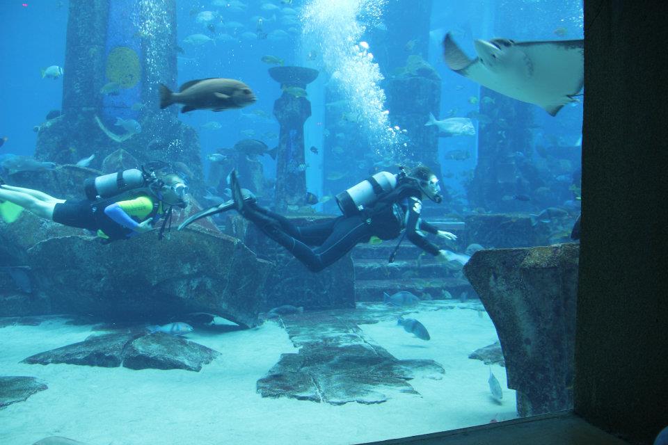 Shark Week Atlantis The Palm Dubai