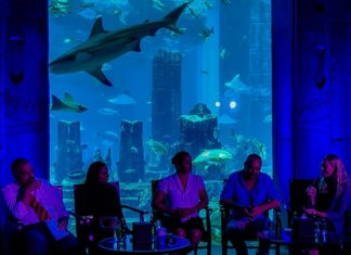Shark Week Lost Chambers Dubai