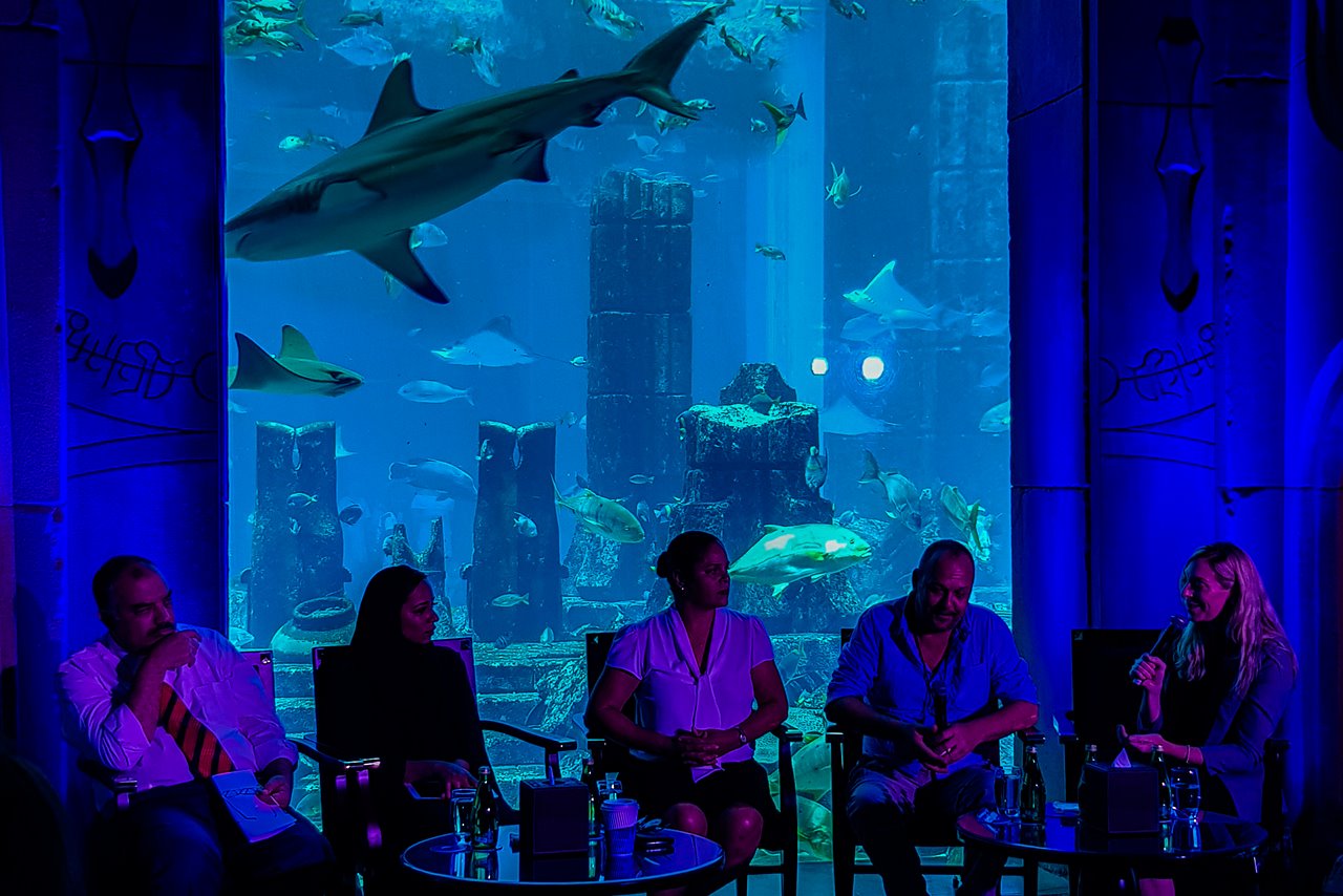 Shark Week Lost Chambers Dubai
