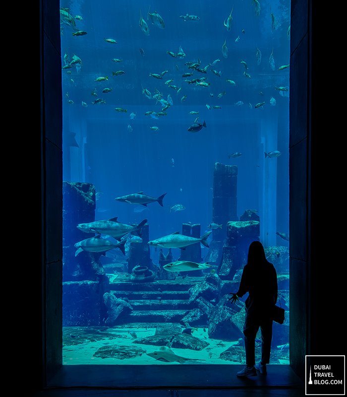 the lost chambers aquarium dubai